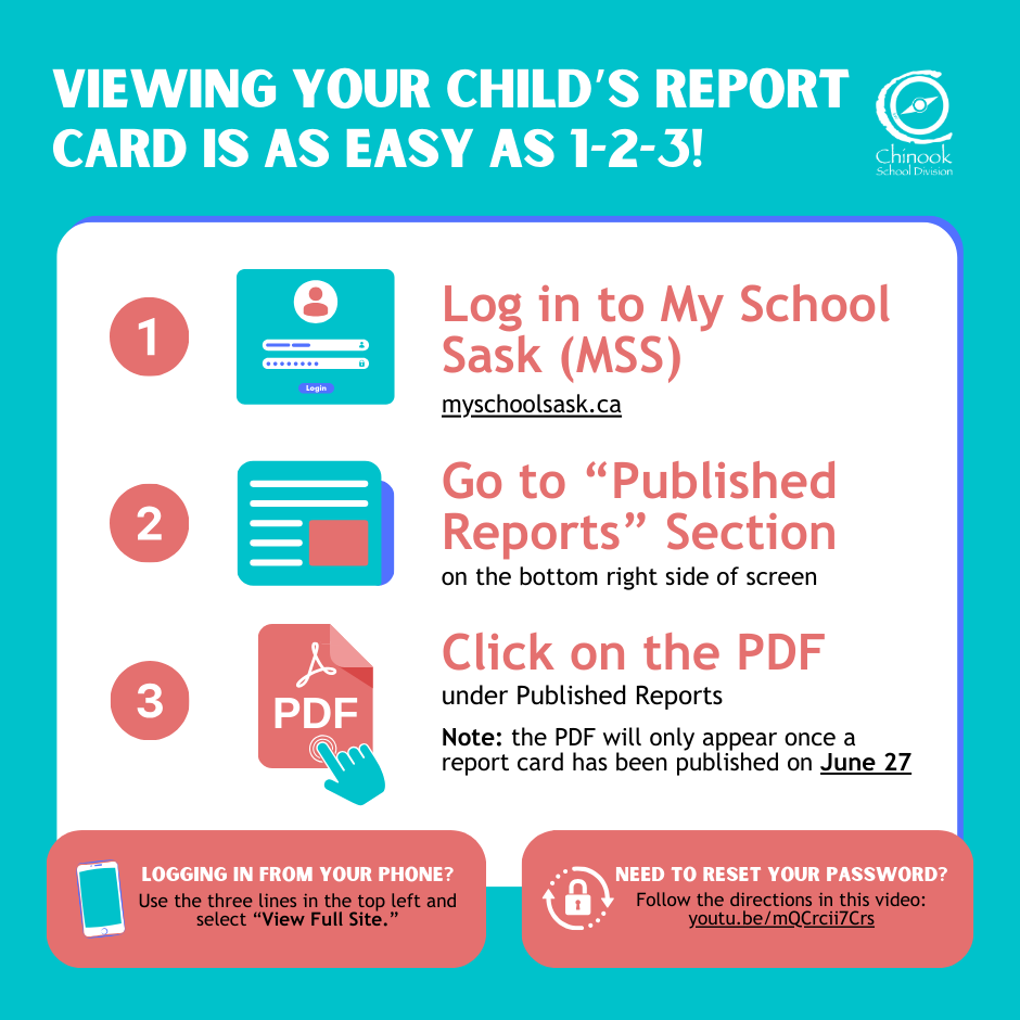 MSS Report Cards 1-2-3 June 2024.png